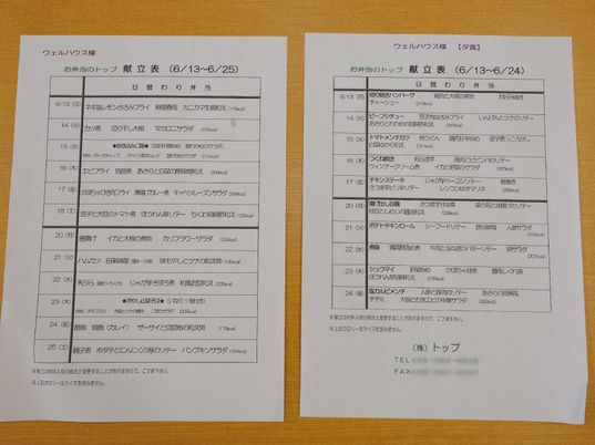 2つの活動計画表