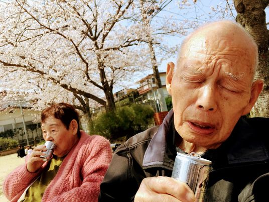 桜の下で飲み物を楽しむ様子