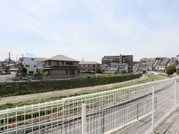 新緑の中庭