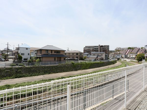 新緑の中庭