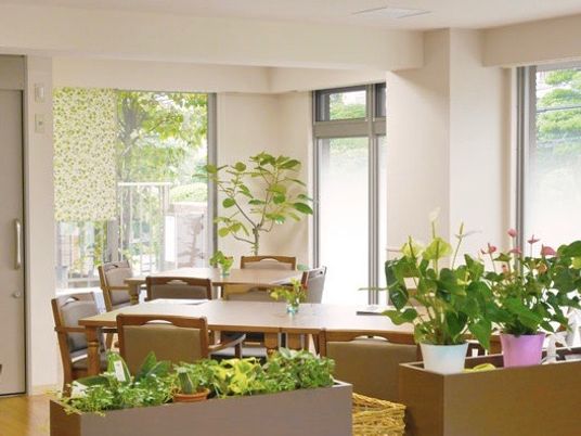緑豊かな明るい食堂
