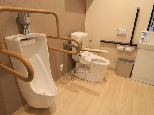 手すり付き清潔なトイレ