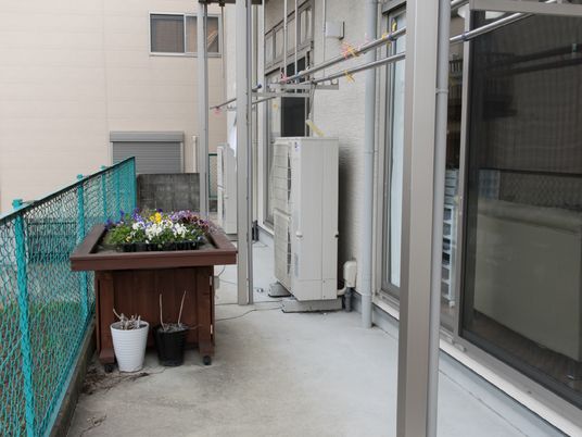屋外スペースと植物