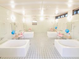 清潔な浴室の内観