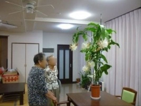 温かな雰囲気の居室