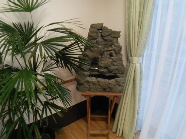 緑植物と石造りの小川
