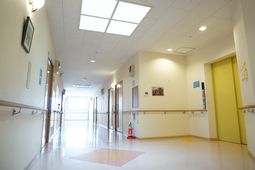 明るい廊下と手すり