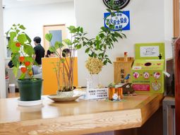 受付カウンターの様子