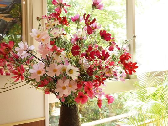 花束と窓辺の光景