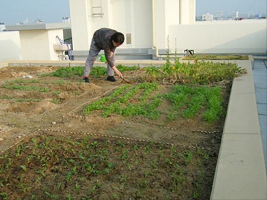 庭園作業をするスタッフの姿