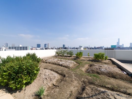 中庭の緑と都市の景色