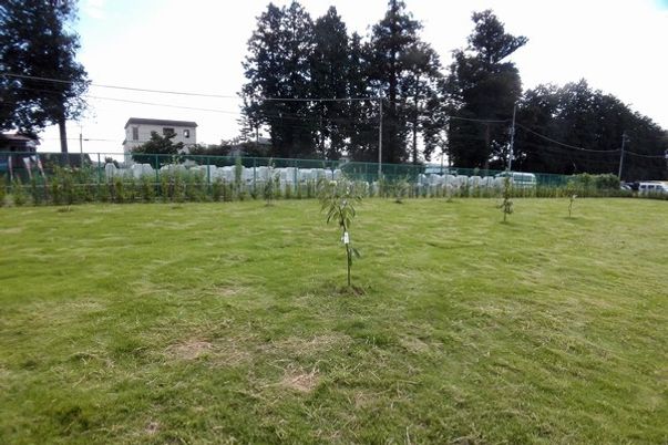 広々とした中庭