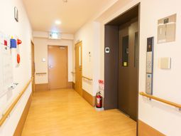 清潔な廊下の様子