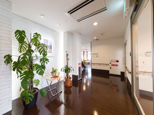 清潔な廊下と植物
