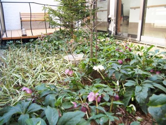 ゆったりした緑の中庭