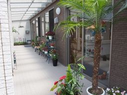 穏やかな植物の廊下