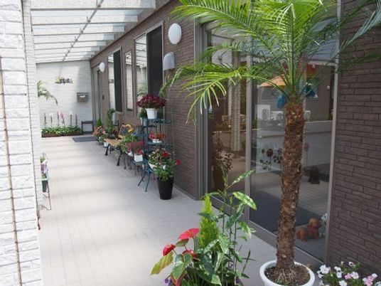中庭の緑と植物