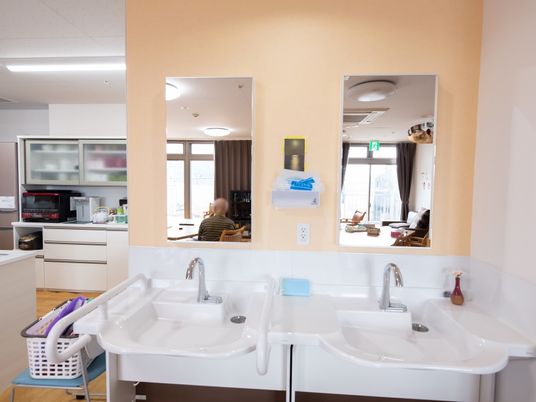 ダイニングには、洗面スペースが設けられている。手すりが備わった洗面台である。鏡が壁に取りつけられている。