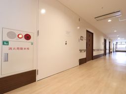 清潔感のある廊下と扉