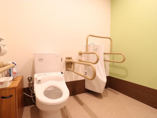 手すり付き清潔なトイレ