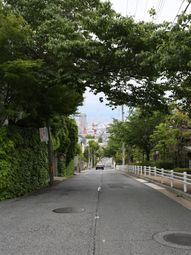 周囲を緑に囲まれた通り