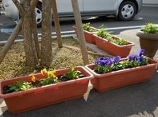 心安らぐ植物のある中庭