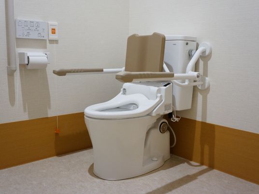 温水洗浄機能などがついた洋式トイレ。壁には手すりと、ひも付きの緊急用ブザーが設置されている。便座の両脇にも手すりがついている。