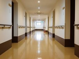 清潔な廊下の様子