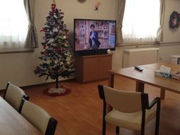 リビングのクリスマスツリー