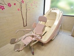 特殊浴槽と和風壁画