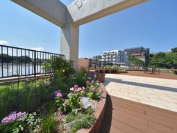 中庭の明るい景観