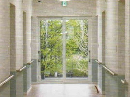 緑が見える明るい廊下