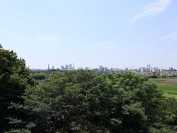 緑豊かな景観
