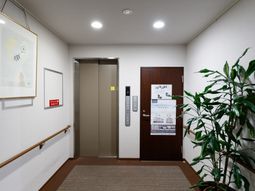 廊下にあるエレベーターと植物