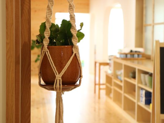 明るい廊下の観葉植物
