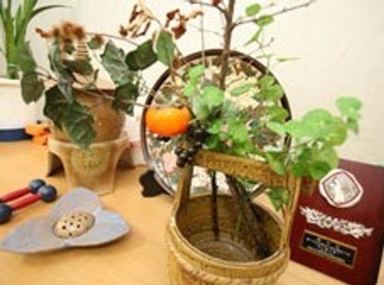 手作り感のある植物飾り