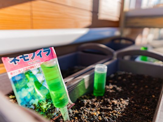 育成支援の肥料と種のセット