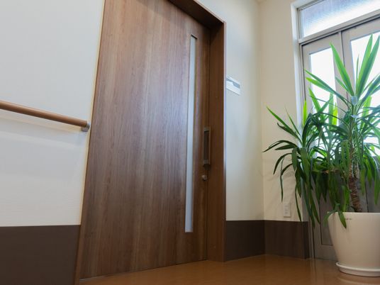 スタッフ通用ドアと植物