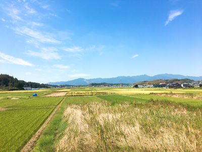 青空と緑の田園風景