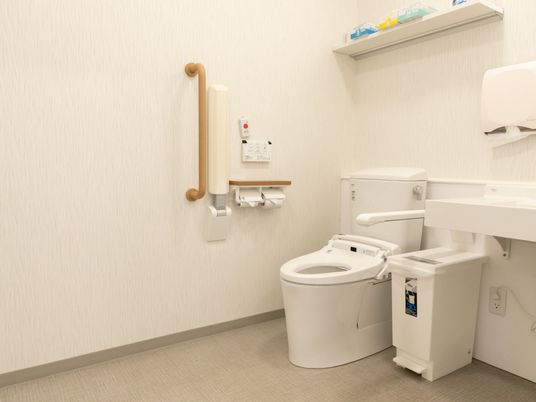 手すり付き清潔なトイレ