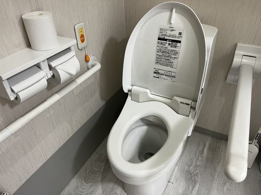 手すり付きトイレ  