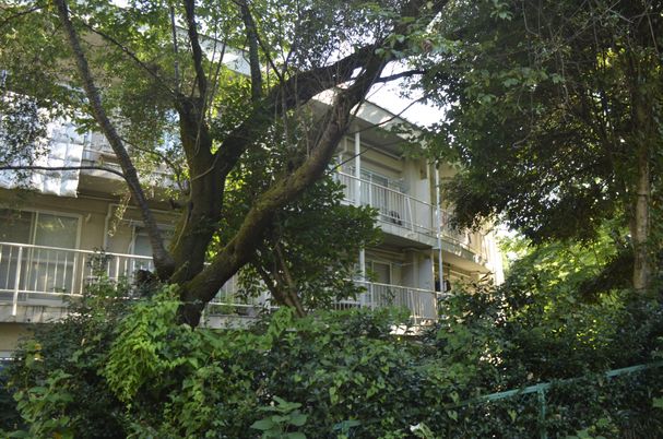 緑に囲まれた建物の外観
