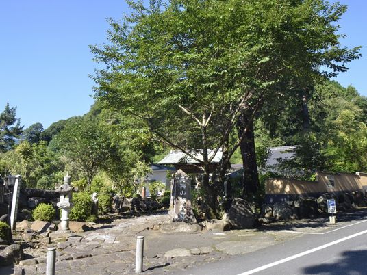 静かな外観