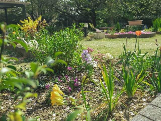 色とりどりの花が咲く庭 庭 四季折々の花が咲く庭は、自然に囲まれてリラックスできる環境です。休憩時間に訪れることでリフレッシュできます。