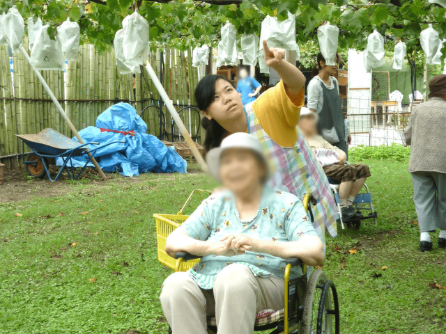 庭での活動の様子 庭 皆で楽しむ屋外活動の場です。自然に囲まれ、リフレッシュしながら穏やかな時間を過ごせます。