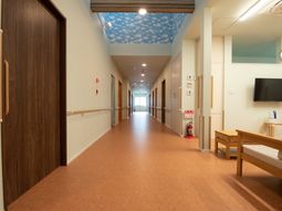 廊下の柔らかい光景