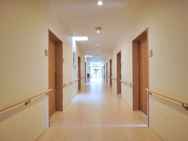 明るく清潔な廊下 廊下 温かみのある木目調のドアと手すりが整った、安心して歩ける廊下です。ゆとりを持ってお過ごしいただける環境が整っております。
