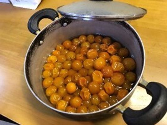 手作りの温かな料理