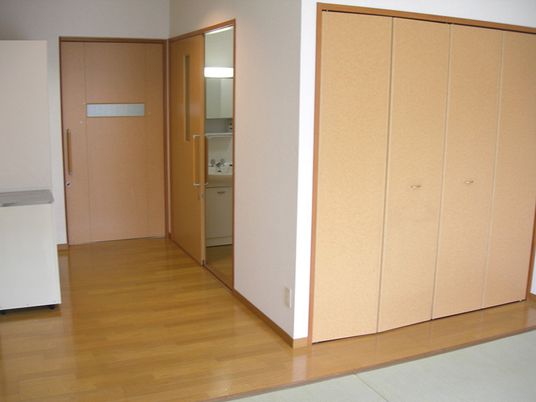 居室のドアとクローゼット
