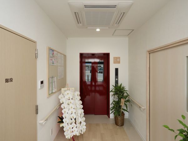 廊下の清潔感ある様子